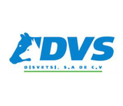 DVS Desvestsi S.A. de C.V.